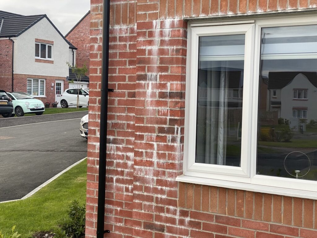 efflorescence removal Exeter