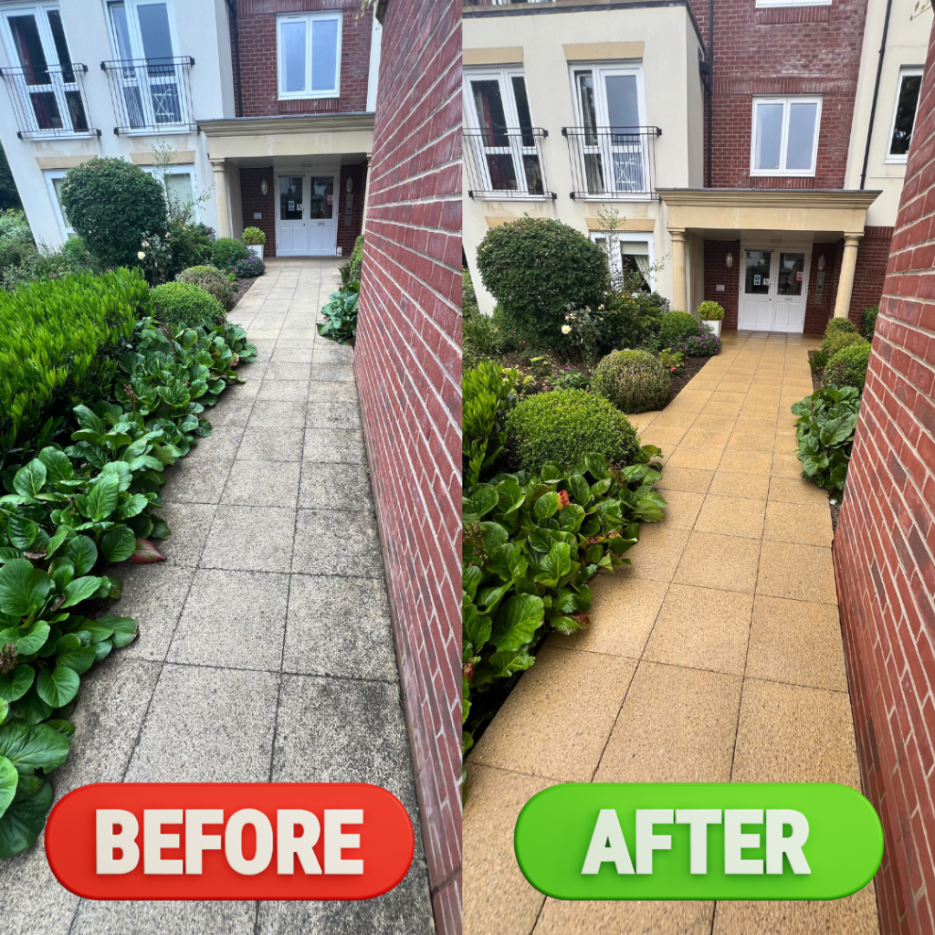 Commercial Path Cleaning Exeter