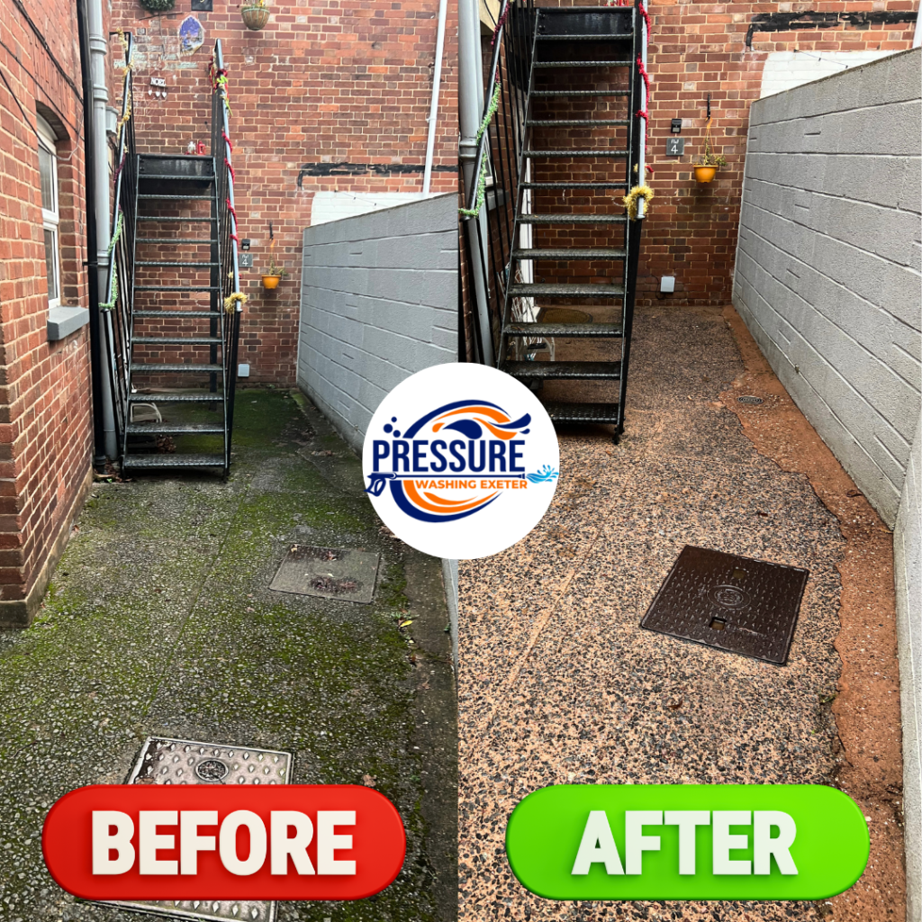 Commercial Path Cleaning