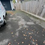 Tarmac Drive Moss Removal & Cleaning