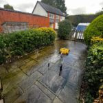 Patio Cleaning Silverton