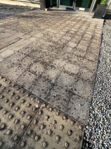 Blackspot removal Ebford