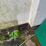 Soft Washing Clyst St George