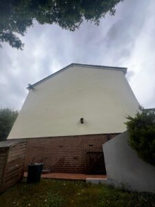 Render Cleaning Shillingford St George