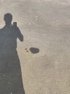 Oil Stain Removal Sowton